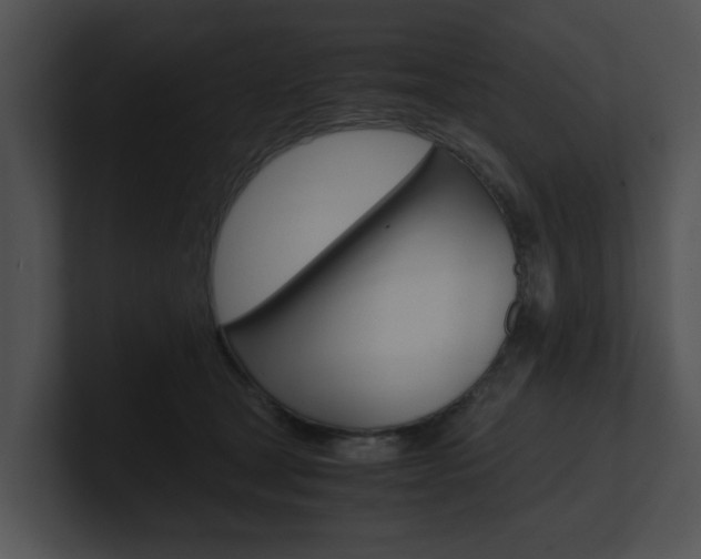X0000100950465200806241126