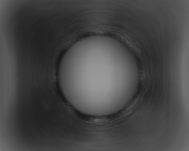 X0000100950466200806241126