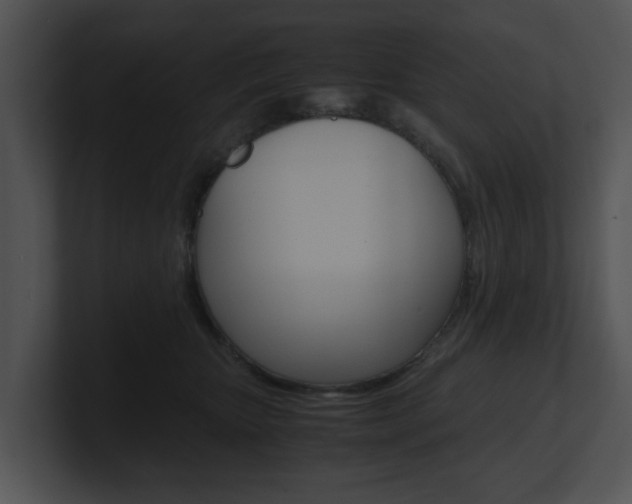 X0000100950467200806241126