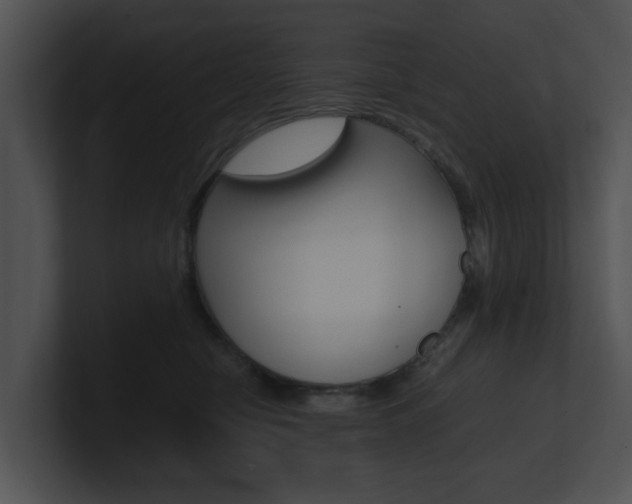 X0000100950470200806241126