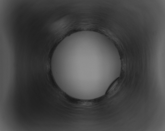 X0000100950471200806241126