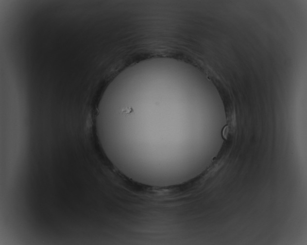X0000100950472200806241126