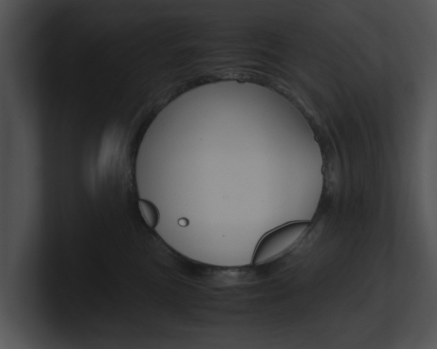 X0000100950473200806241126