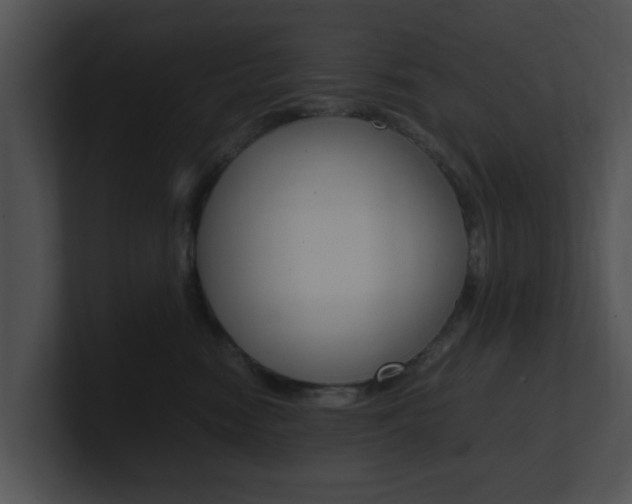X0000100950474200806241126