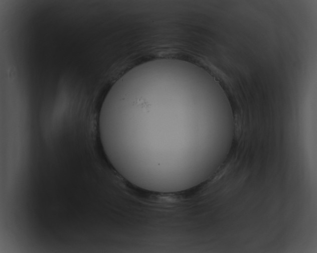 X0000100950475200806241126