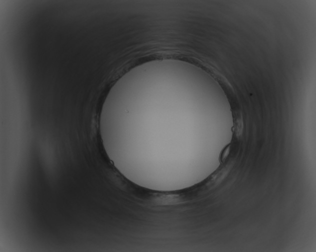 X0000100950476200806241126