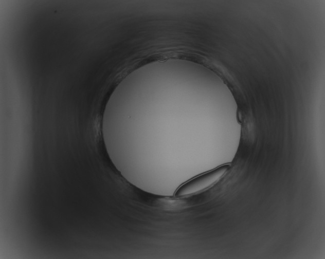 X0000100950477200806241126