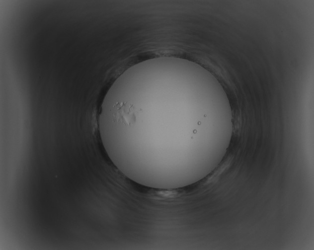 X0000100950478200806241126