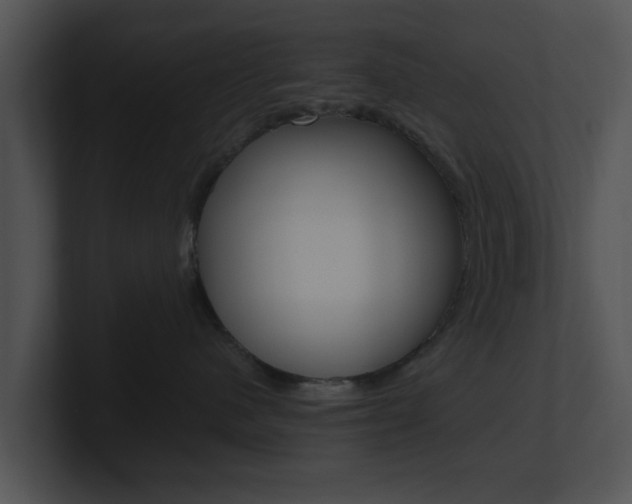 X0000100950480200806241127