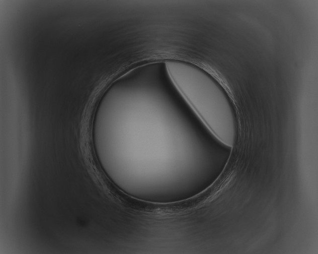 X0000100950481200806241126