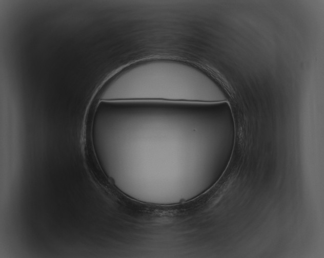 X0000100950484200806241126