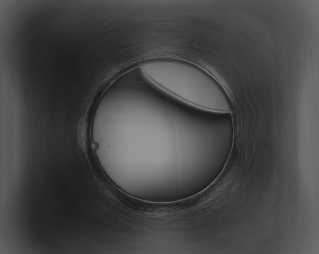 X0000100950485200806241126