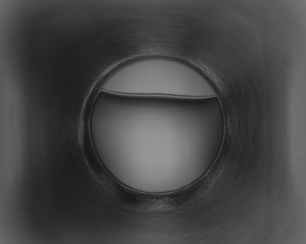 X0000100950488200806241126