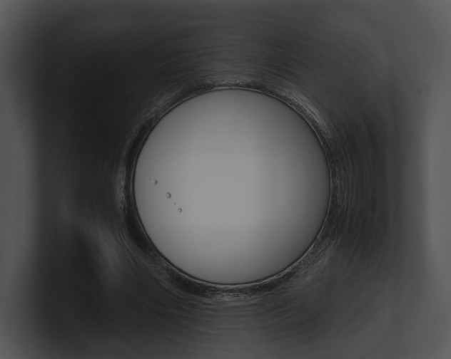 X0000100950490200806241126