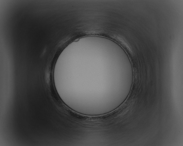 X0000100950491200806241126