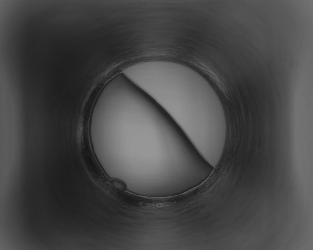 X0000100950492200806241126