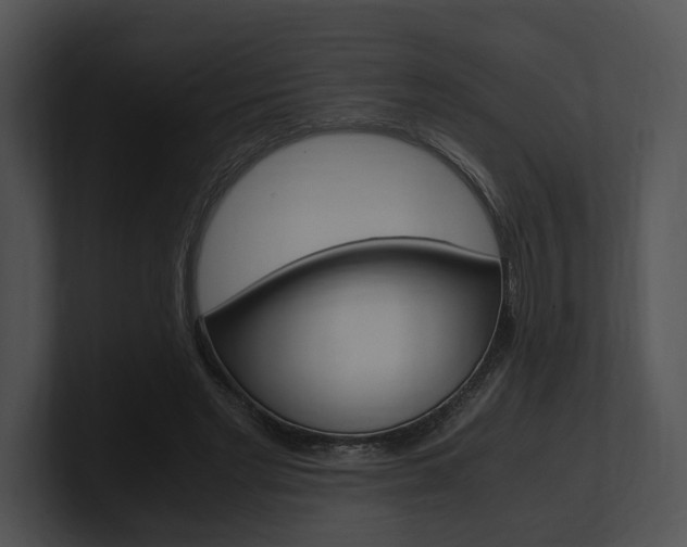 X0000100950493200806241126