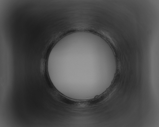 X0000100950495200806241126