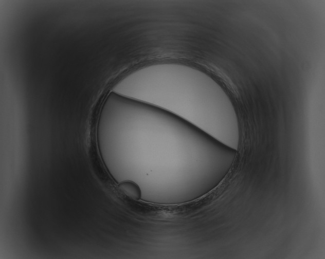 X0000100950496200806241126