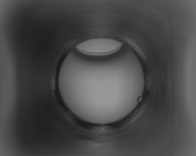 X0000100950497200806241126