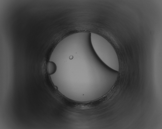 X0000100950498200806241126
