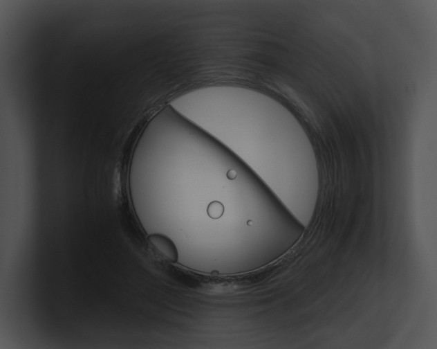 X0000100950500200806241126