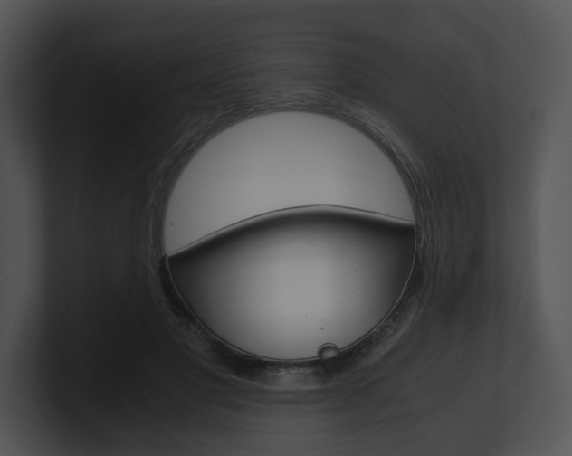 X0000100950501200806241126