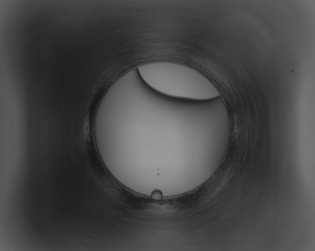X0000100950502200806241126