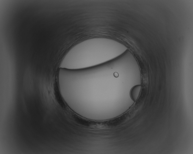 X0000100950503200806241126
