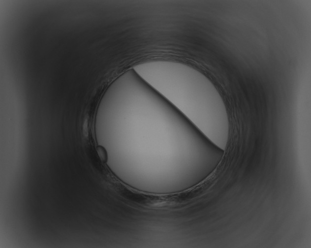 X0000100950504200806241126