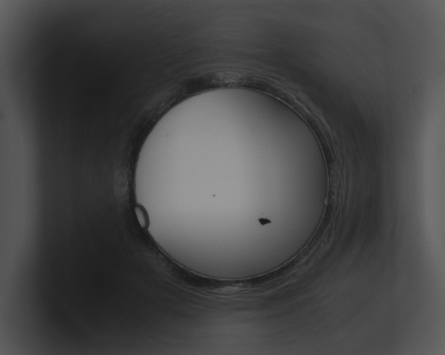 X0000100950505200806241126
