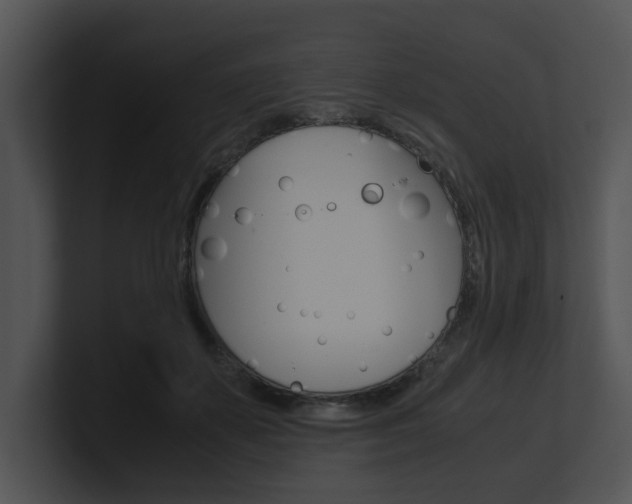 X0000100950507200806241126