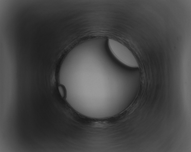 X0000100950508200806241126