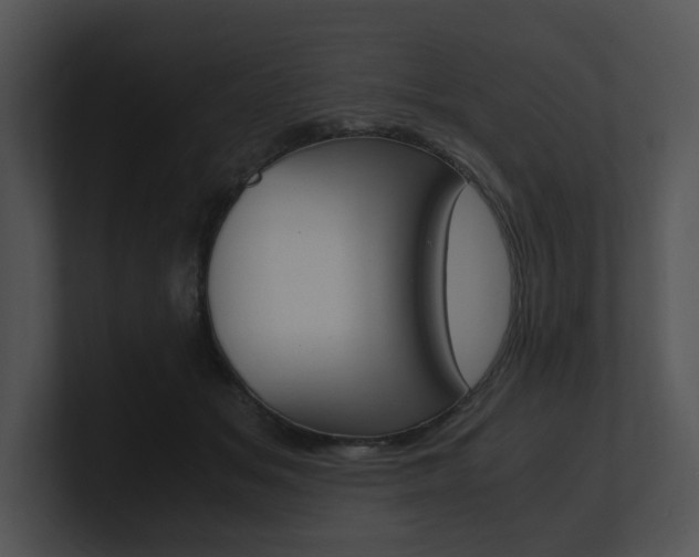 X0000100950509200806241125
