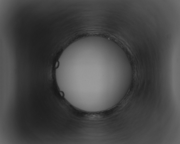 X0000100950512200806241125