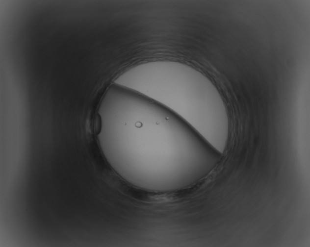 X0000100950516200806241125