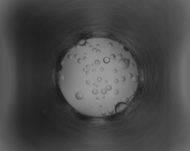 X0000100950519200806241125