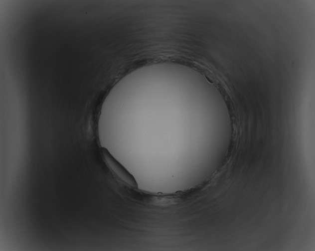 X0000100950520200806241125