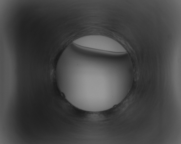 X0000100950521200806241125