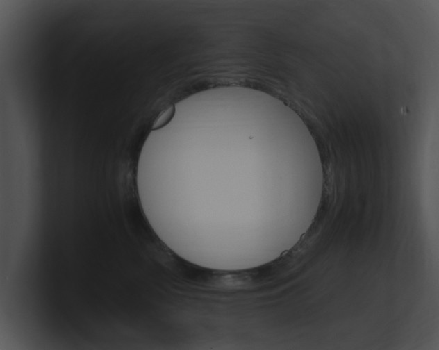 X0000100950522200806241125