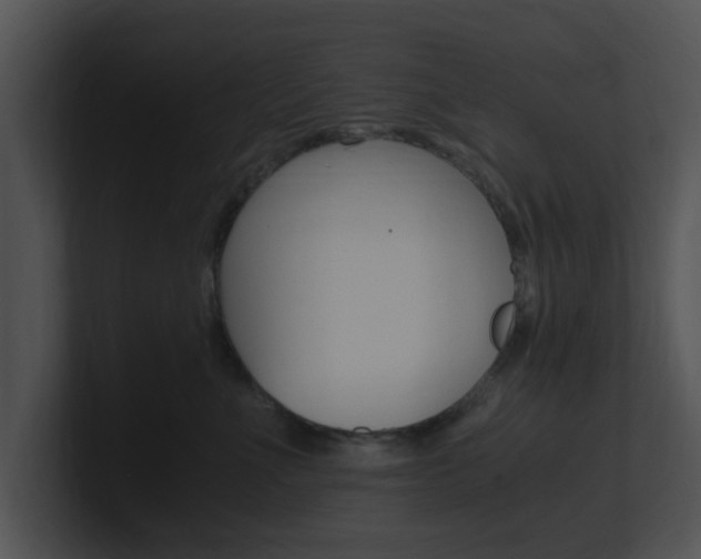 X0000100950523200806241125