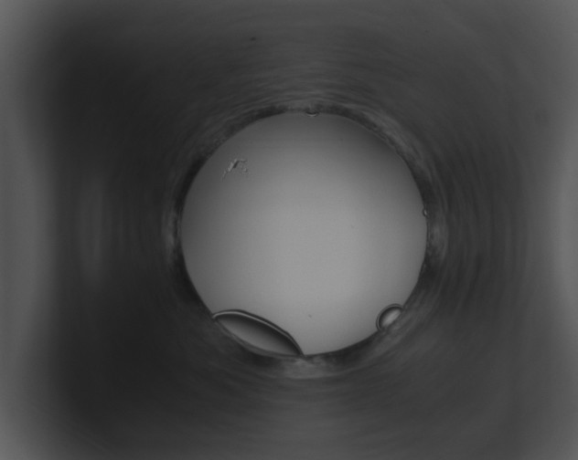 X0000100950525200806241125