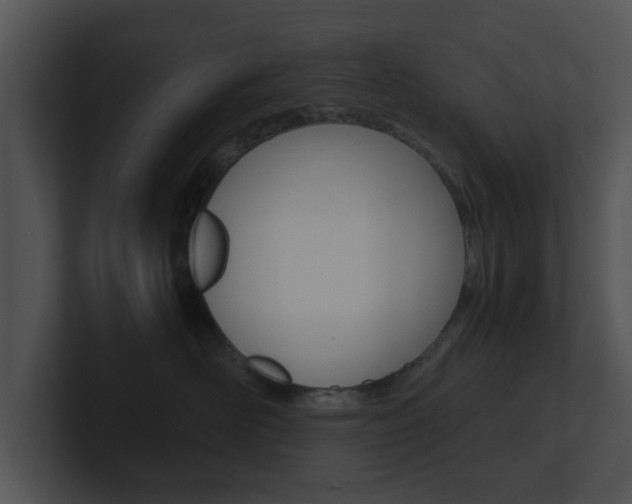X0000100950526200806241125