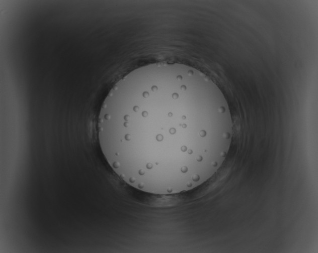 X0000100950527200806241125