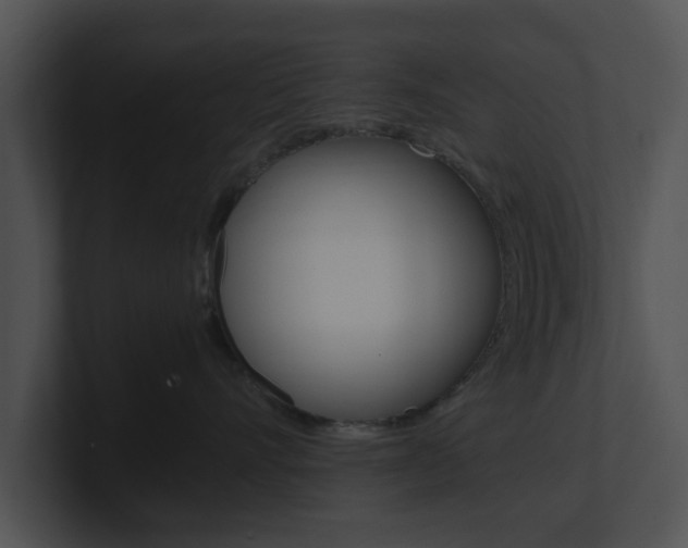X0000100950528200806241125