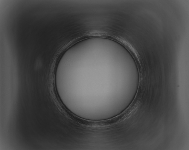 X0000100950529200806241125