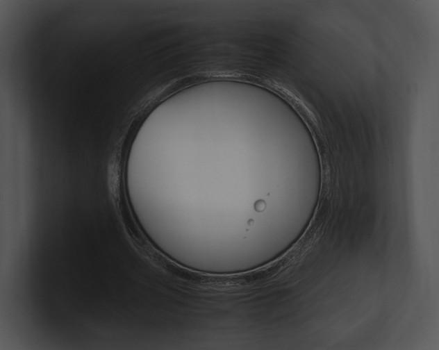 X0000100950533200806241125