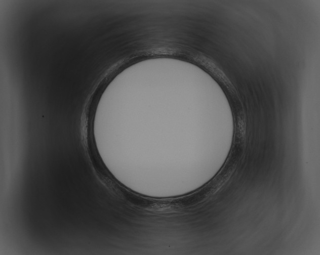 X0000100950534200806241125
