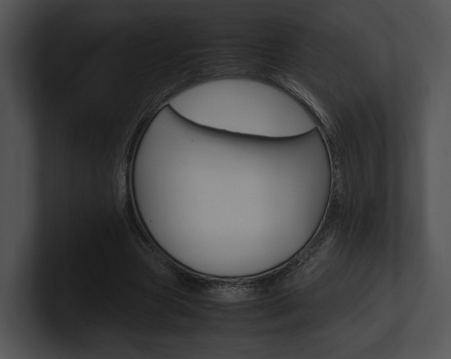 X0000100950537200806241125