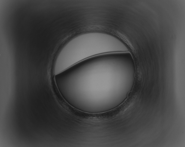 X0000100950538200806241125